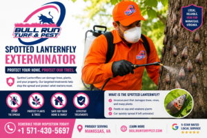 Professional spotted lanternfly exterminator treating a tree and outdoor property for invasive lanternfly pests in Northern Virginia.