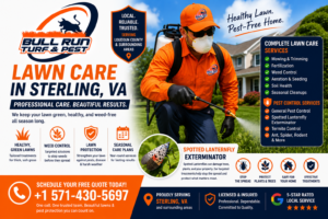 Professional lawn care technician treating a lush green residential lawn in Sterling, Virginia.