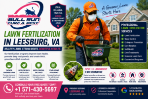 Professional lawn care technician treating a lush green residential lawn in Sterling, Virginia.
