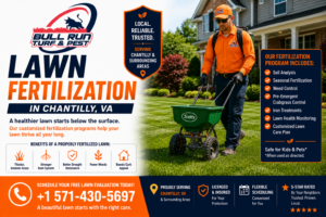 Lawn fertilization technician applying professional fertilizer treatment to a green residential lawn in Chantilly, Virginia.