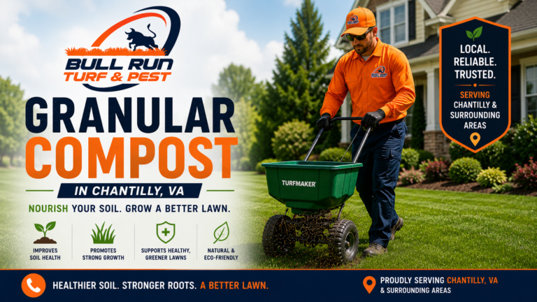 Lawn care technician spreading granular compost treatment on a residential lawn in Chantilly, Virginia.
