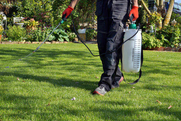 Lawn care technician applying weed control treatment to grass in Chantilly, Virginia