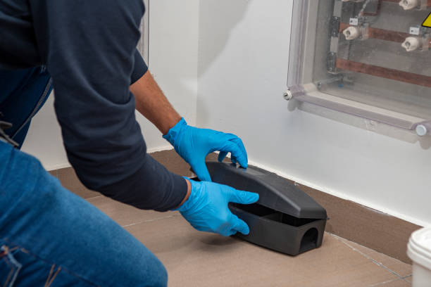 Pest control technician inspecting home for rodent entry points in Chantilly, Virginia