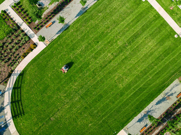 Commercial lawn care crew mowing business property landscaping in Northern Virginia
