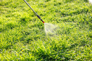 Mosquito control technician treating yard vegetation in Chantilly, Virginia