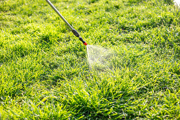 Mosquito control technician treating yard vegetation in Chantilly, Virginia